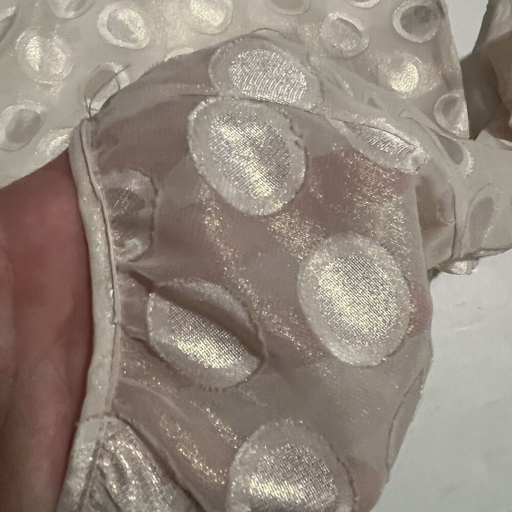 The Limited NWT Women's Polka Dot Tunic Top Shimmer Sheer Ballet Core Pink XS - Picture 6 of 12